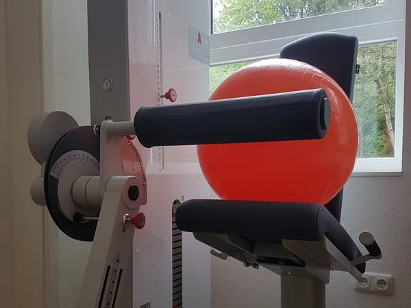 Bild 2: Die Physioprofis